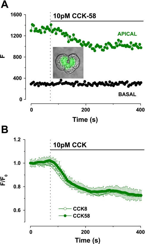 Fig. 4.