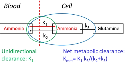 Fig. 7