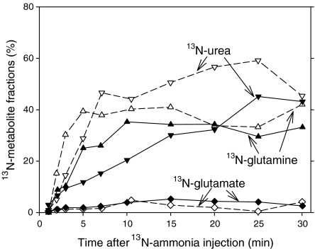 Fig. 4