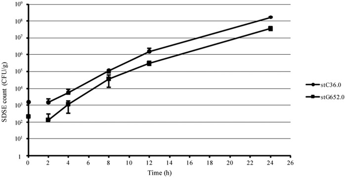 FIG 2