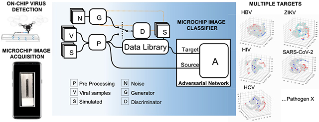 graphic file with name nihms-1710062-f0004.jpg