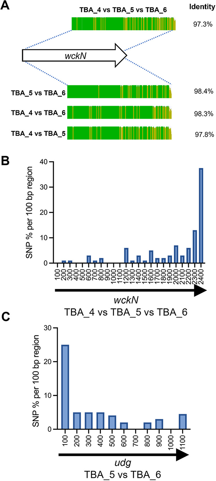 FIG 4