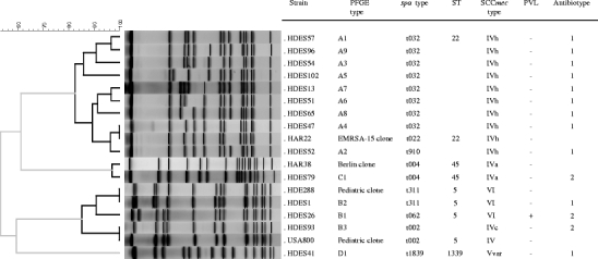 Fig. 1