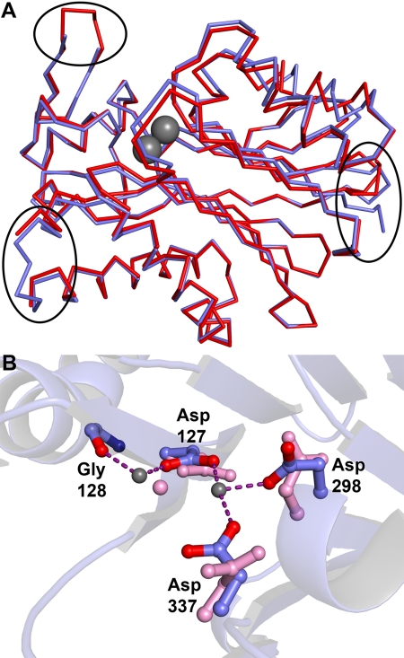 FIGURE 7.