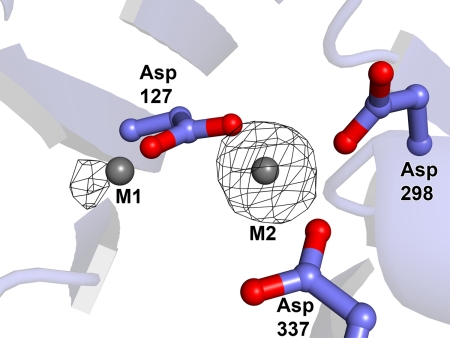 FIGURE 6.