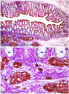 Fig 14