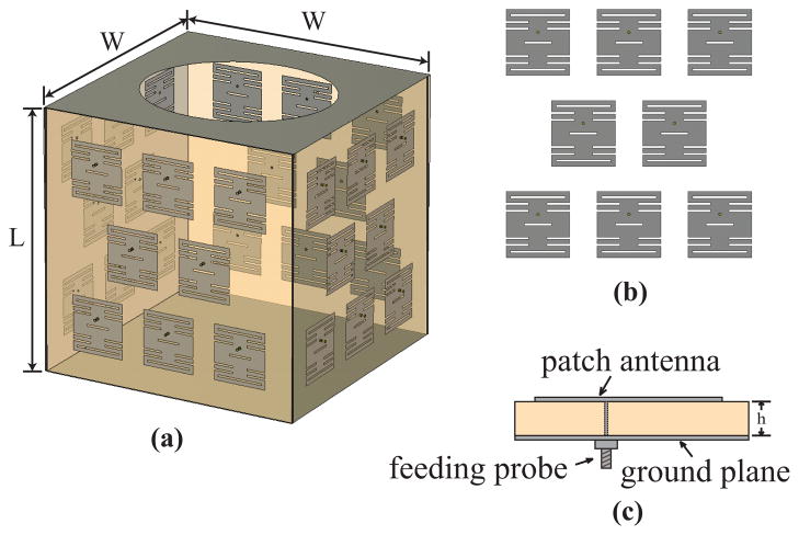 Fig. 1