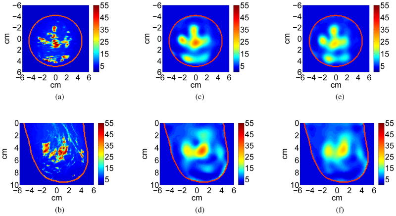 Fig. 10