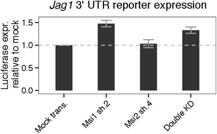 Figure 4—figure supplement 3.