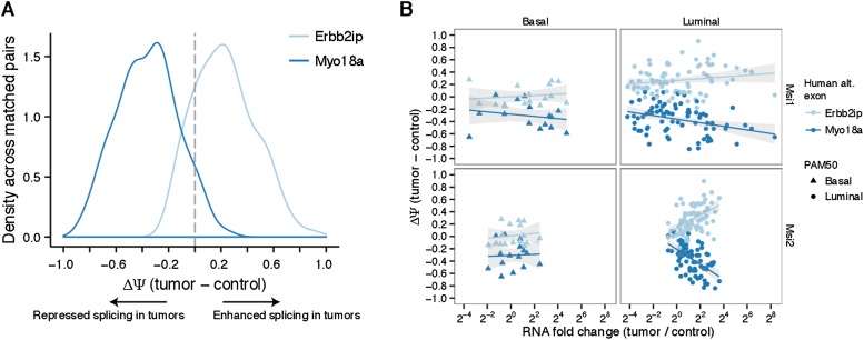 Figure 5—figure supplement 2.