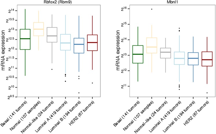 Figure 2—figure supplement 2.