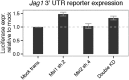 Figure 4—figure supplement 3.