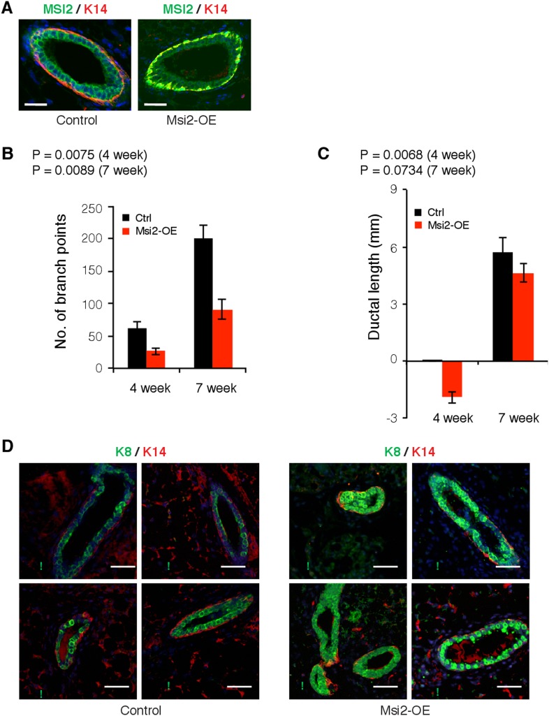 Figure 7—figure supplement 1.