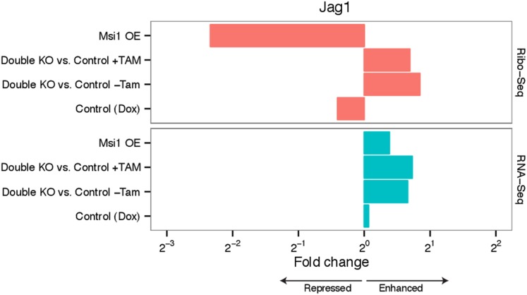 Figure 4—figure supplement 2.