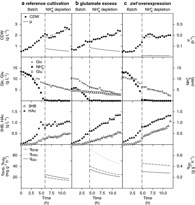 Fig. 4