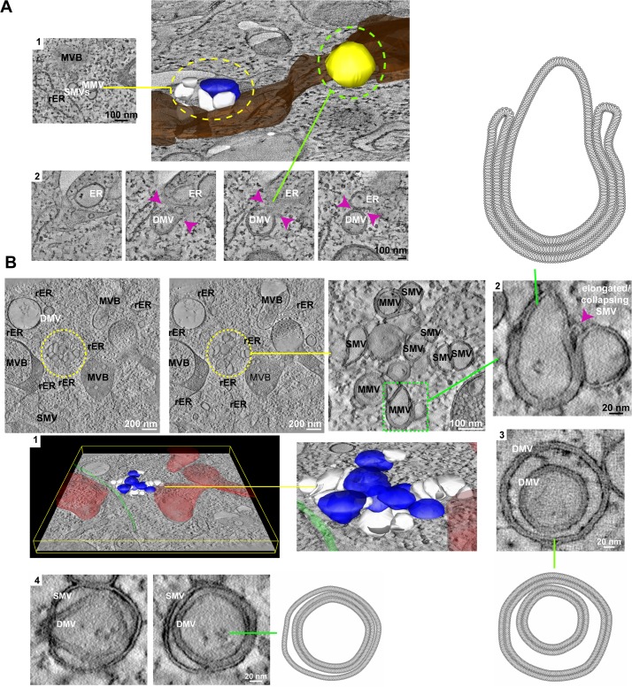 Fig 4