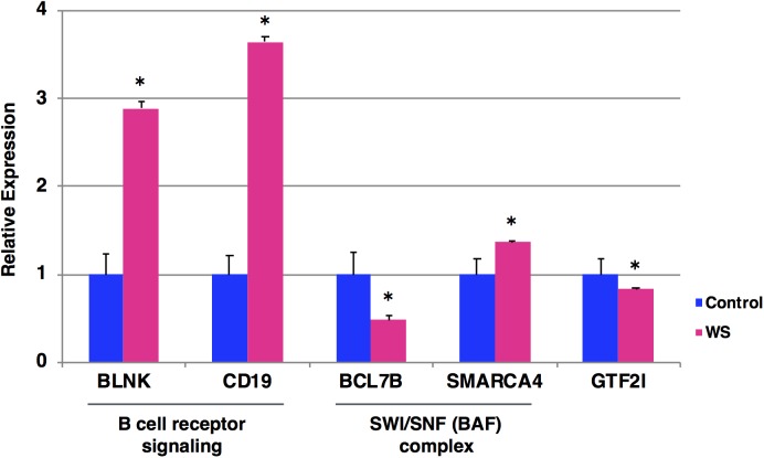 FIGURE 3