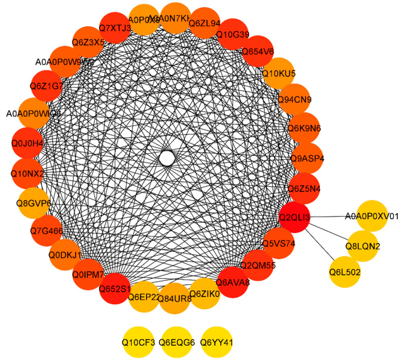 Figure 6