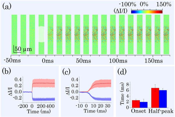 Fig. 4