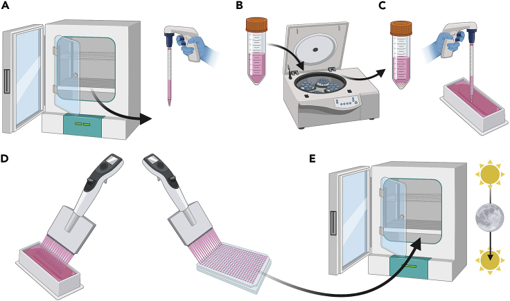 Figure 3