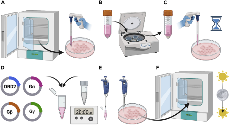 Figure 2