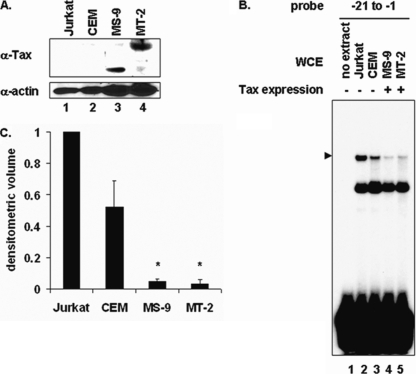 FIG. 3.