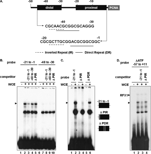 FIG. 1.