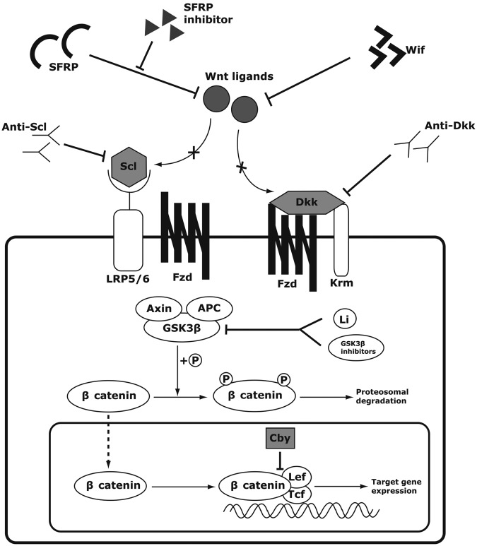 Figure 2.