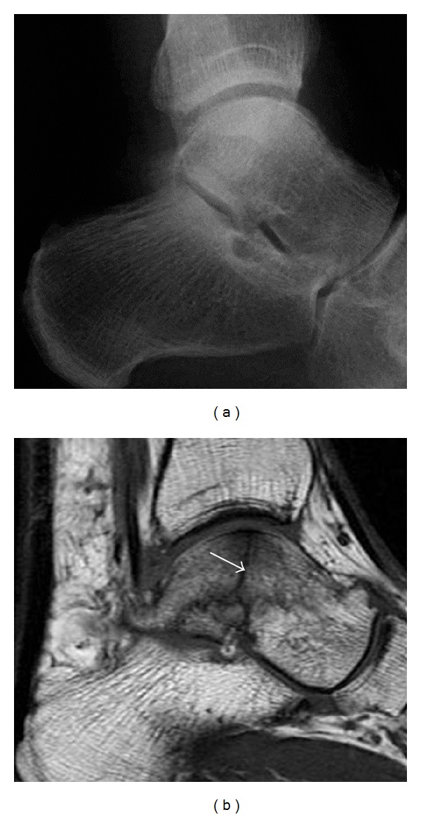 Figure 7