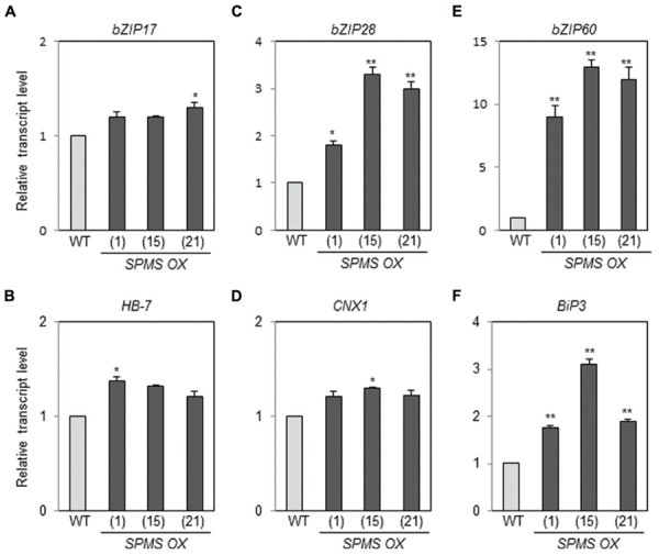 FIGURE 4