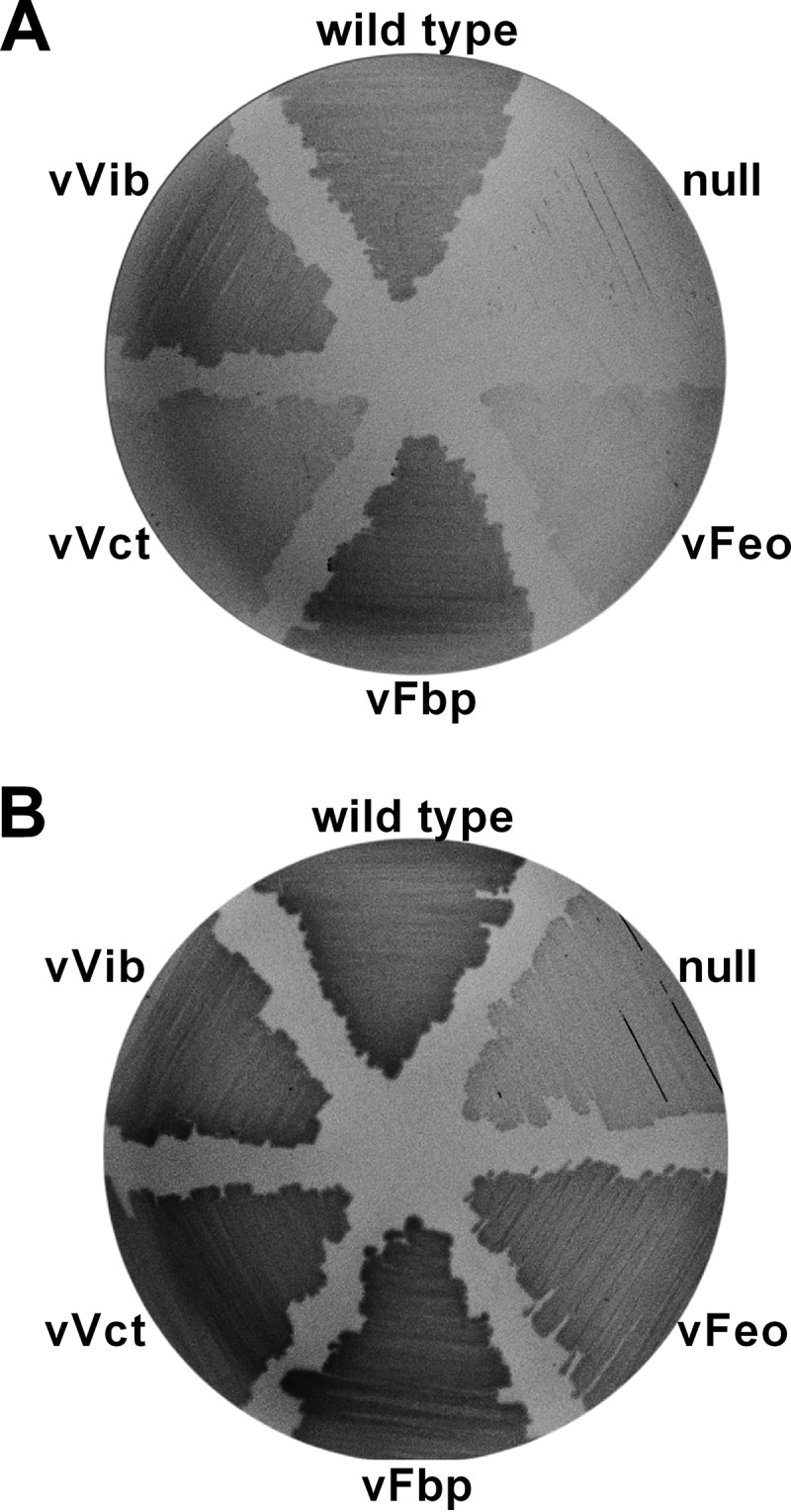 FIG 1