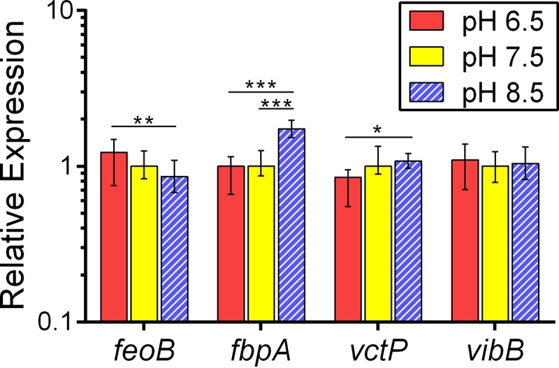 FIG 4