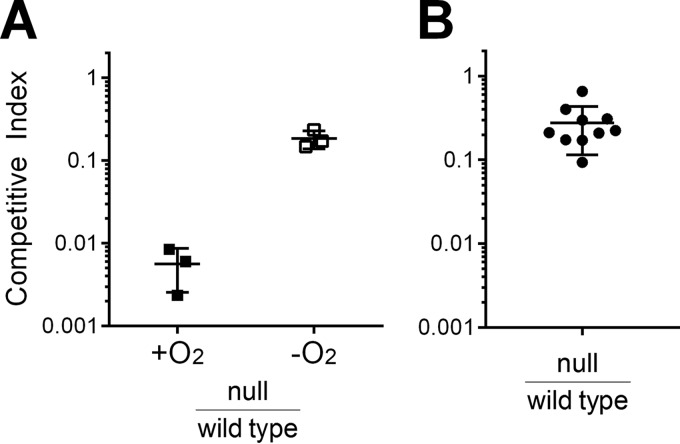 FIG 6