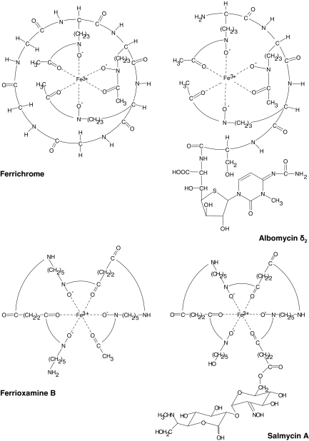 Fig. 2