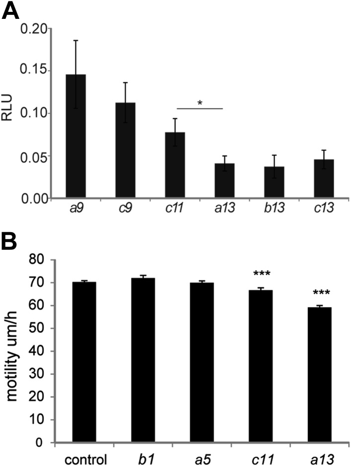 Figure 8—figure supplement 2.