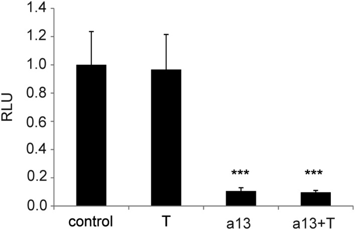 Figure 9—figure supplement 1.