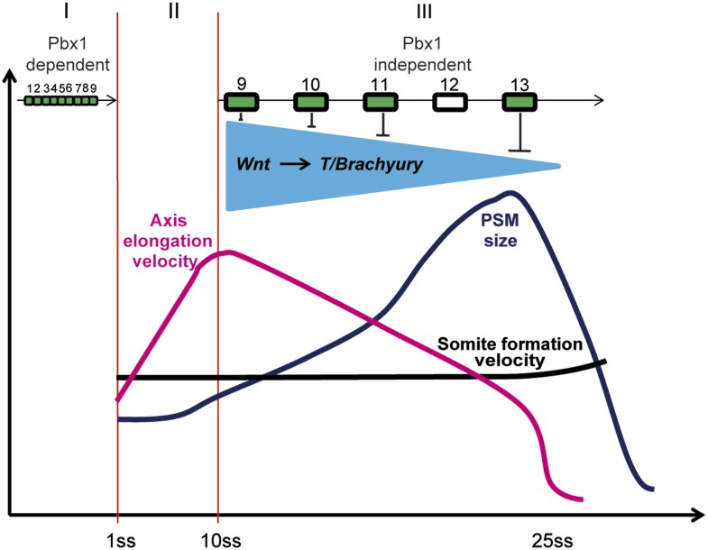 Figure 11.