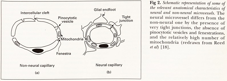 Fig 2.