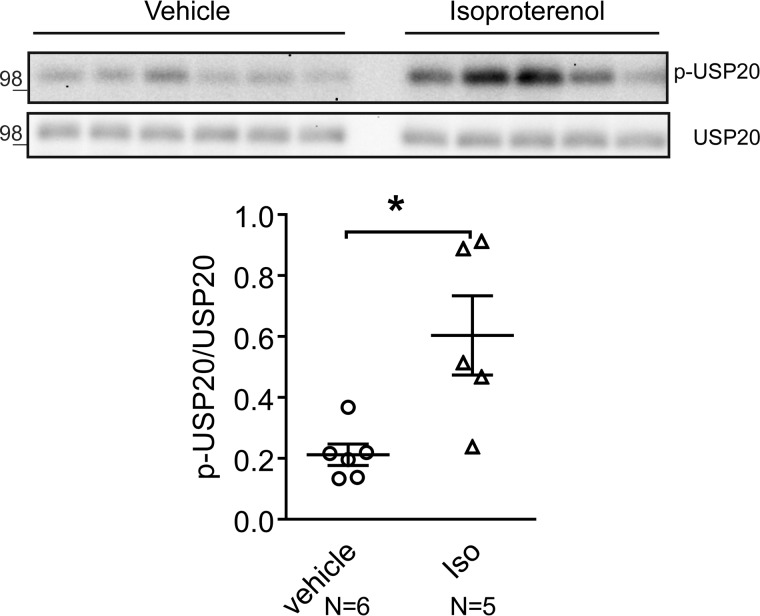 Figure 12.