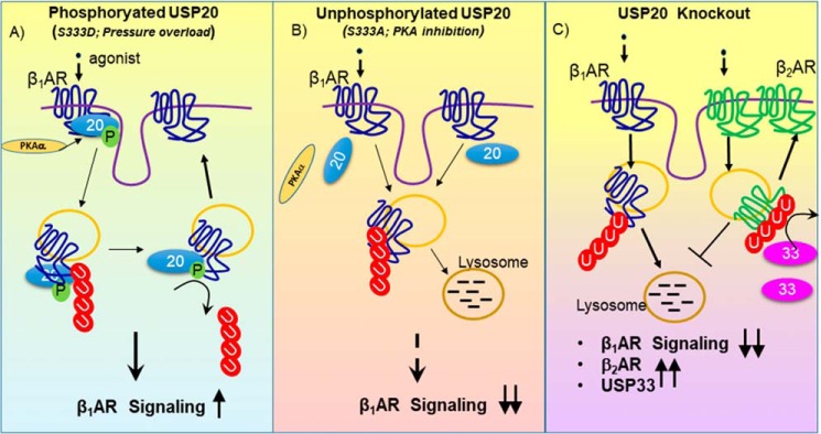 Figure 14.