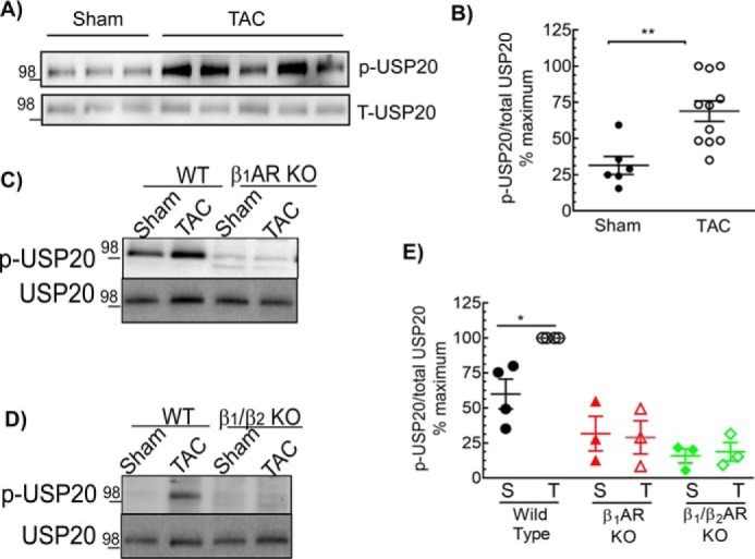 Figure 13.