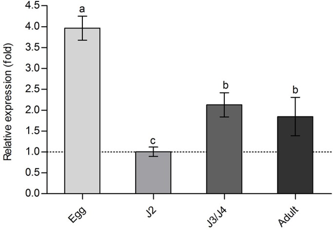 Fig. 3.