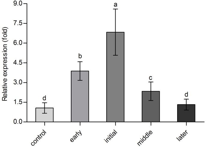 Fig. 4.