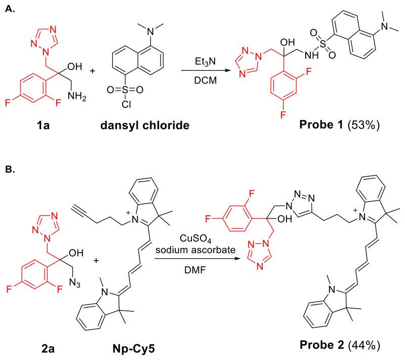 Real-Time Imaging of the Azole-Class of Antifungal Drugs in Live ...