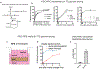 Extended Data Fig. 4