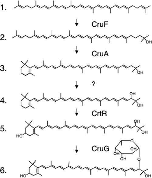 FIG. 8.