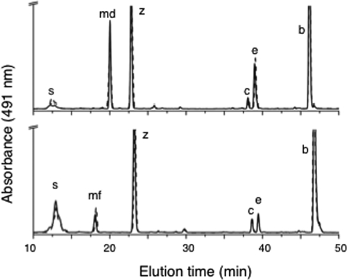 FIG. 1.