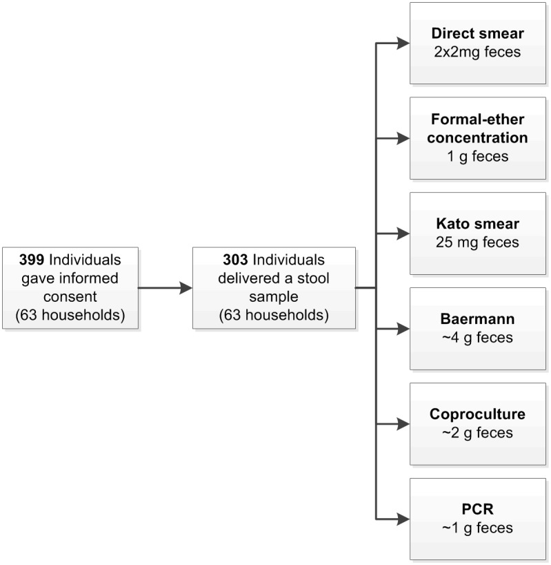 Fig 1