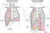 Figure 6: