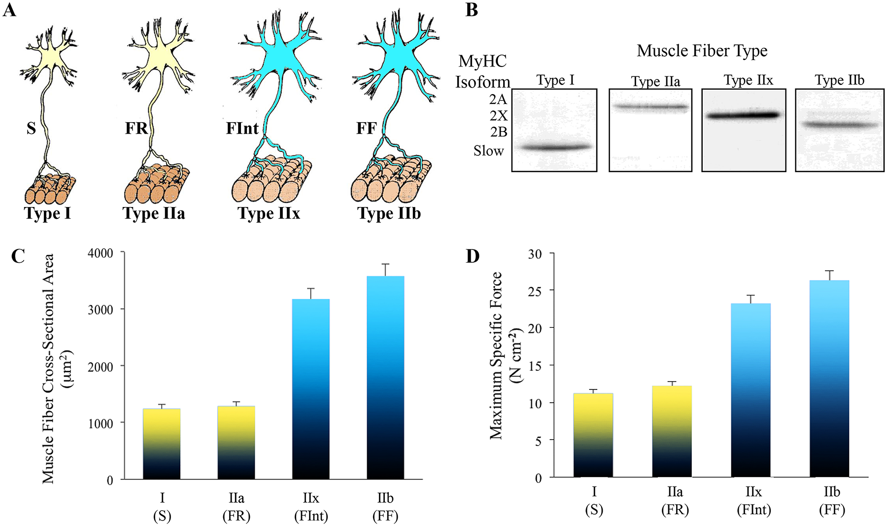 Figure 21: